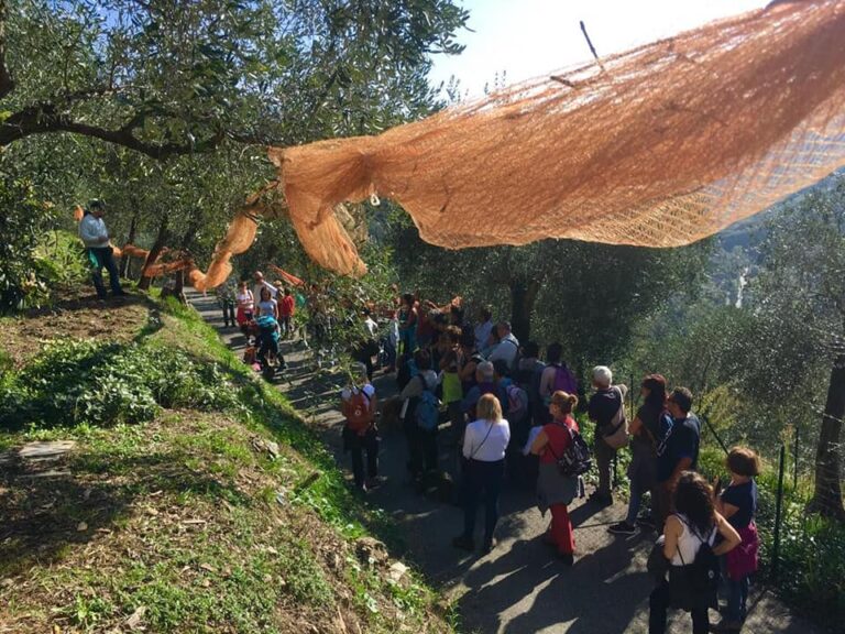 Puglia protagonista del Primo Concorso nazionale Turismo dell’Olio