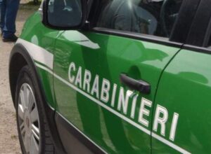 Terra dei fuochi. 31enne arrestata dai Carabinieri per aver innescato rogo tossico