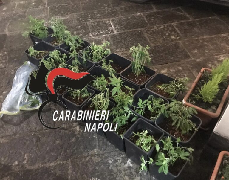 Blitz dei carabinieri a Pomigliano, Brusciano e Sant’Anastasia: trovate armi e droga