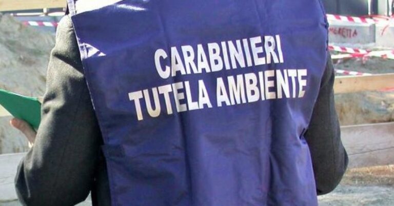 Polo nautico, sequestri dei carabinieri del Noe di Napoli