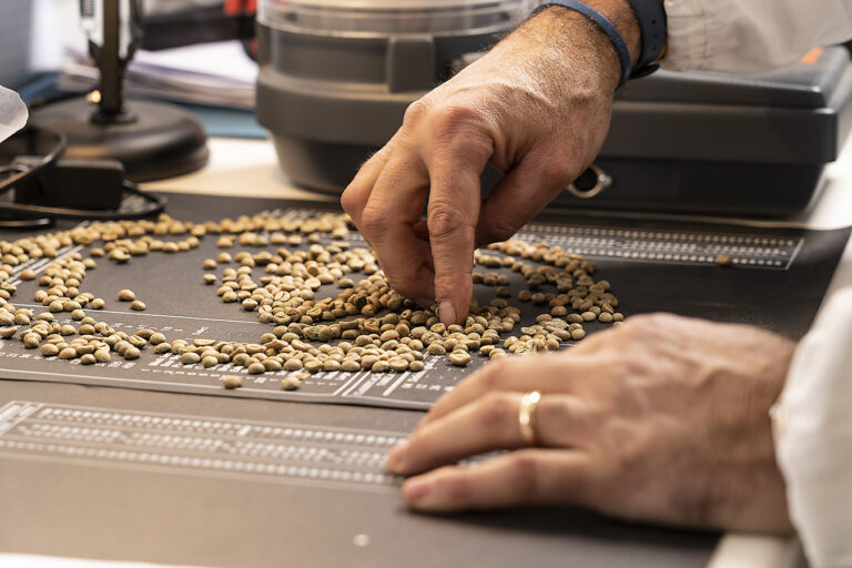 Andrea Cipolloni nuovo AD di Caffè Borbone per guidare la crescita internazionale