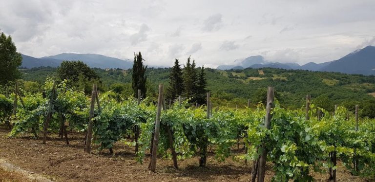 Passioni ad “alta quota”, tra elicotteri e vini: a Nusco nasce la cantina Poderi Visone