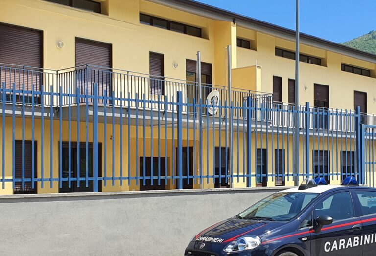 La camorra gestiva aziende di commercio ittico e servizi di ambulanza/VIDEO