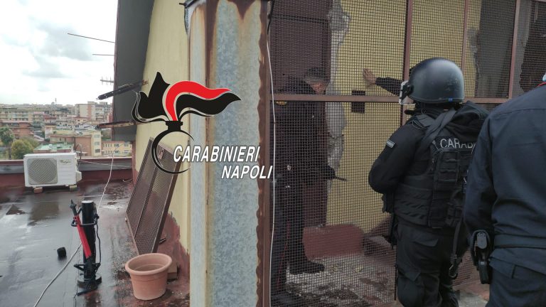 Maxi blitz dei carabinieri nel Napoletano