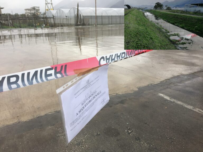 Operazione dei Carabinieri forestali. Area di mille metri quadri sequestrata
