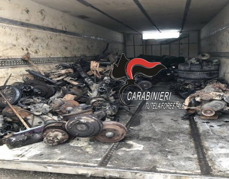Maxi sequestro di rifiuti stoccati nei container, forse destinati all’estero