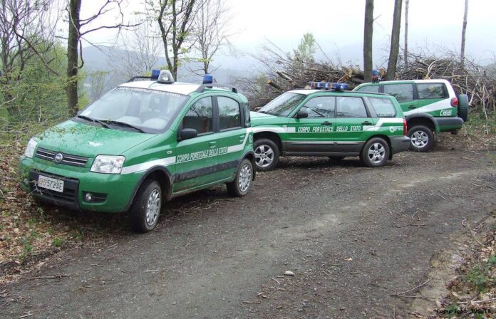 guardia corpo forestale