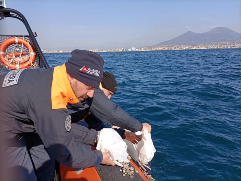 Pesca illegale: blitz della Guardia Costiera di Napoli