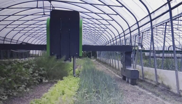 Agricoltura 4.0: aziende campane puntano sull’innovazione e l’intelligenza artificiale con Hortobot