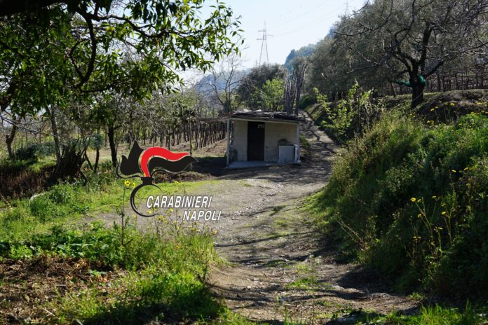 Lettere a 12.04.2022