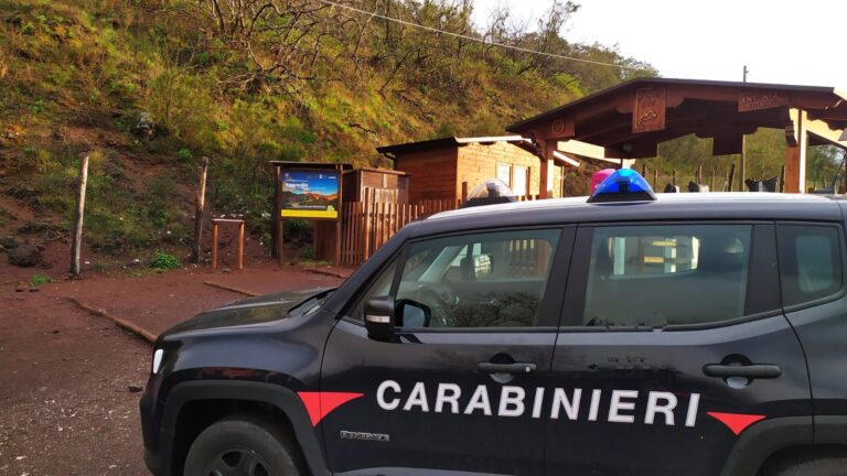 Bagarinaggio nel parco nazionale del Vesuvio. 54enne acquista tutti i biglietti sul web e li rivende a prezzi maggiorati