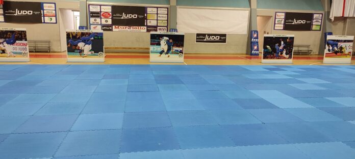 summerjudocamp