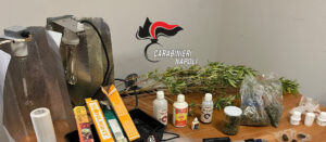 Carabinieri scoprono laboratorio per la marijuana nel retrobottega. Imprenditore in manette, denunciato il socio