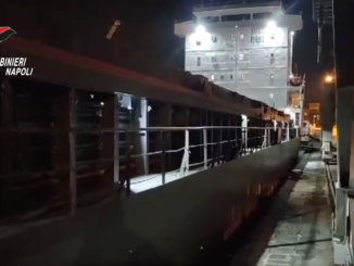 La nave cargo turca, battente bandiera panamense