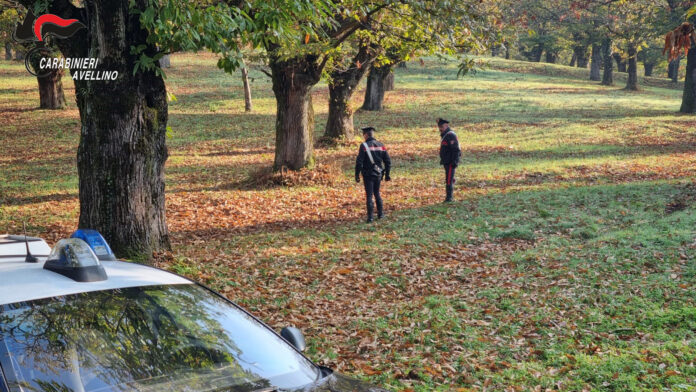 Sequestro impianto per traffico illecito di rifiuti in Campania – foto Carabinieri