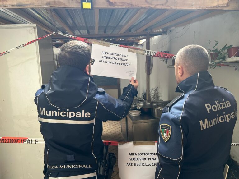Pomigliano d’Arco, cingalesi macellavano abusivamente cinghiali in un fabbricato: scoperti dalla Polizia Locale