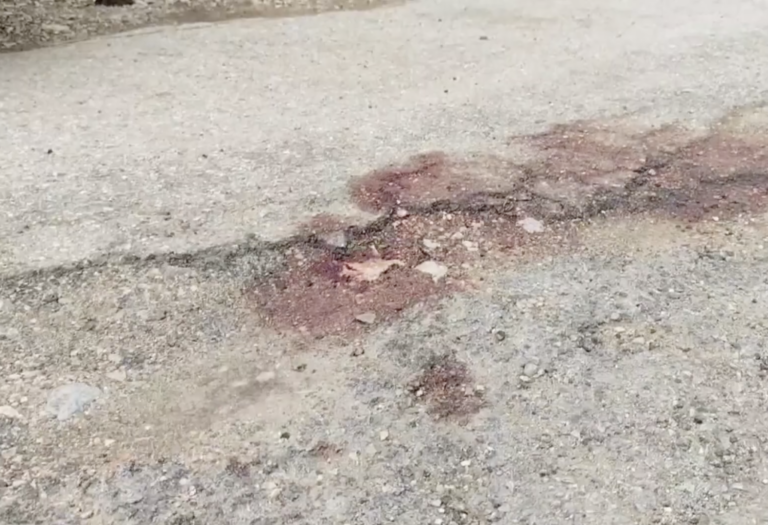 Capaccio Paestum, muore il 15enne trovato in strada in fin di vita: indagini in corso, l’ipotesi è suicidio