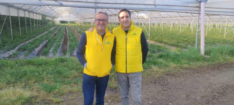 Il Tar blocca impianto fotovoltaico su suolo agricolo a Orta di Atella