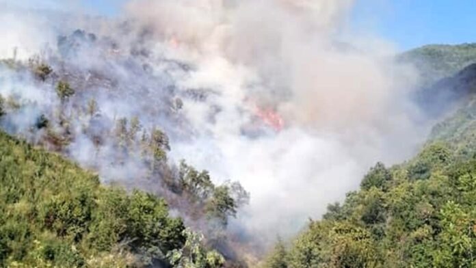 Incendio Sarno 7