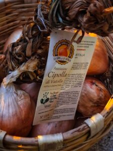 “In Cibo Veritas”: al via l’XI edizione della “Festa della Cipolla di Vatolla” nel Cilento