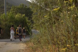 “Be The Change”, tre nuovi appuntamenti nel Cilento per vivere e difendere l'ambiente “Be The Change”, tre nuovi appuntamenti nel Cilento per vivere e difendere l'ambiente
