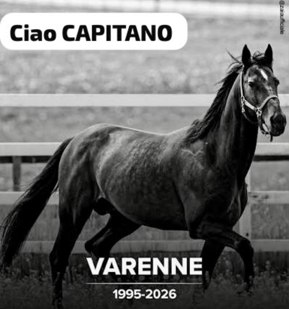 addio a varenne il capitano che fece correre l8217italia da Primacampania.it addio a varenne il capitano che fece correre l8217italia