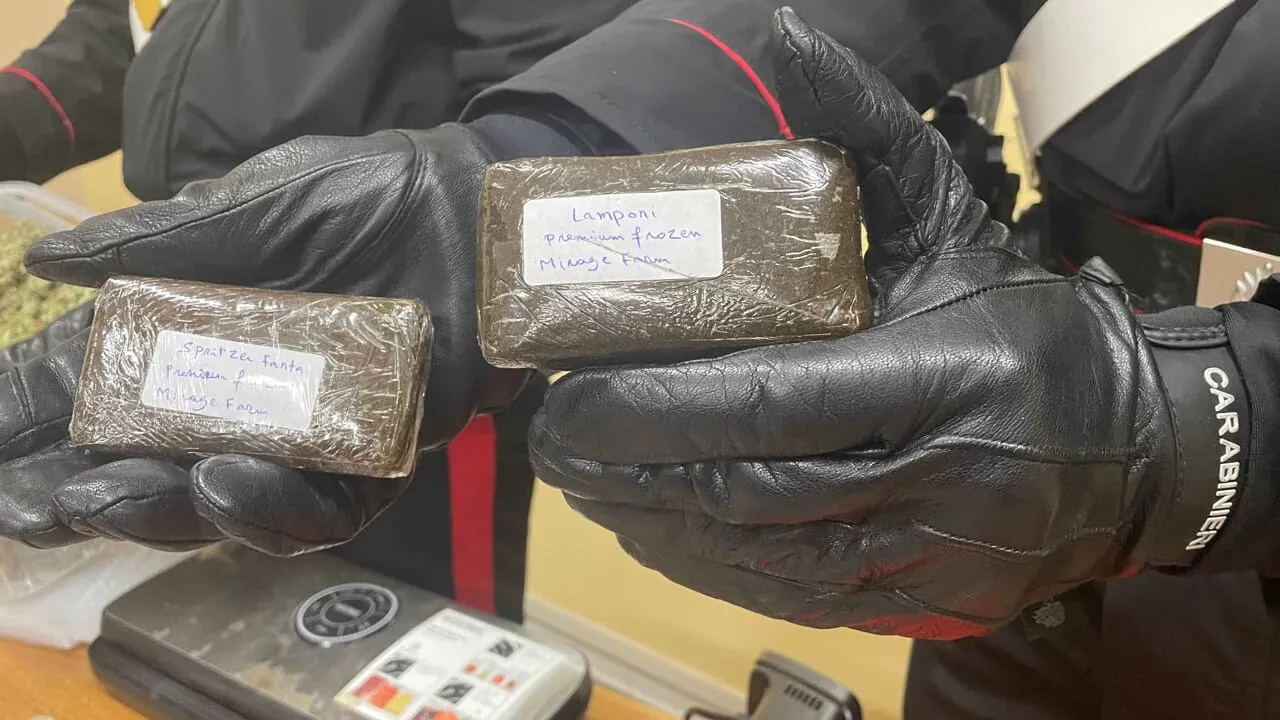 nel napoletano scoperto il frozen hashish nuova droga fino a 80 euro al grammo da Primacampania.it nel napoletano scoperto il frozen hashish nuova droga fino a 80 euro al grammo