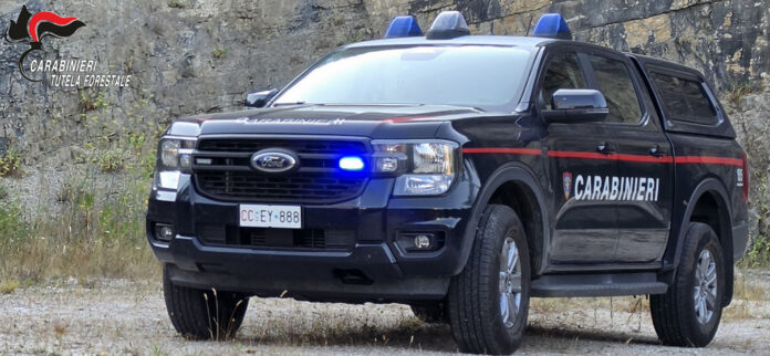 Veicolo dei Carabinieri Forestali con luci blu accese davanti a un muro di pietra.