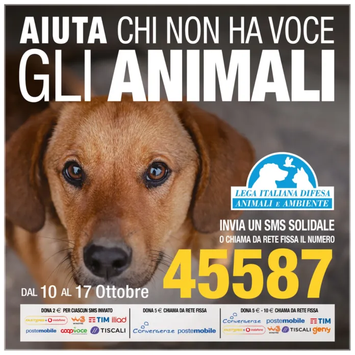 Primo piano del muso di un cane con occhi espressivi, sovrapposto a testo che invita a inviare un SMS solidale al numero 45587 per aiutare gli animali.