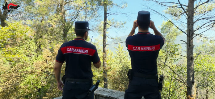 Due carabinieri forestali in divisa nel bosco, uno con binocolo, durante un controllo.