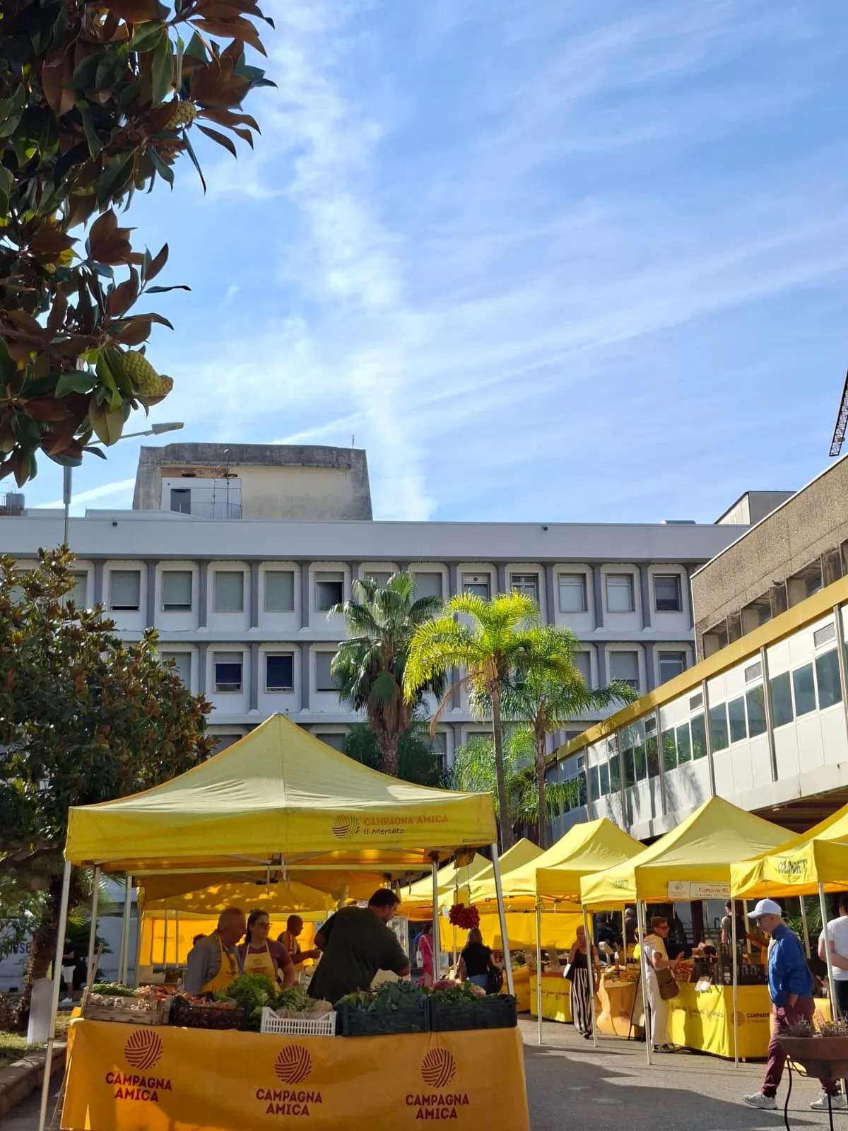 successo per il mercato campagna amica all8217ospedale ruggi d8217aragona di salerno da Primacampania.it successo per il mercato campagna amica all8217ospedale ruggi d8217aragona di salerno